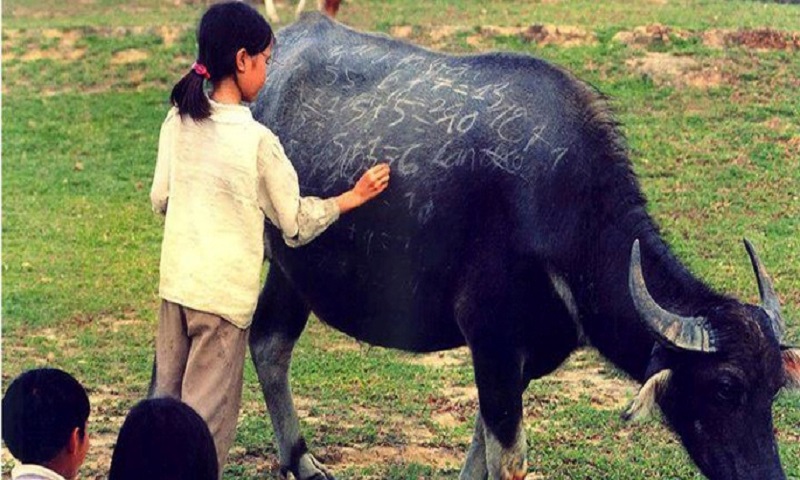 Northern Vietnam Trails & Tribes 7 Days
