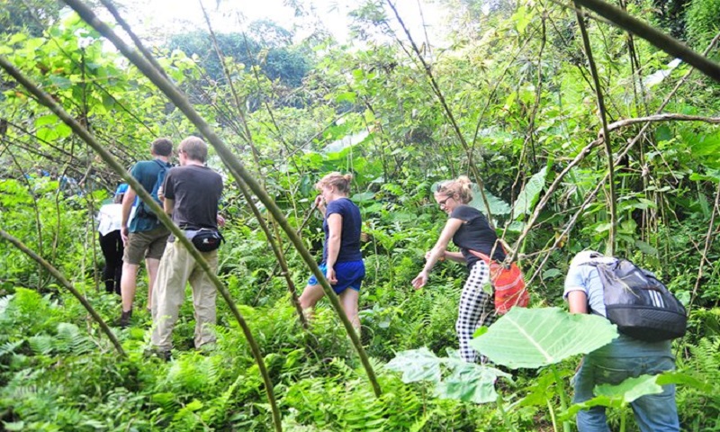 ba-be-trekking-trekking-in-ba-be-lake.jpg