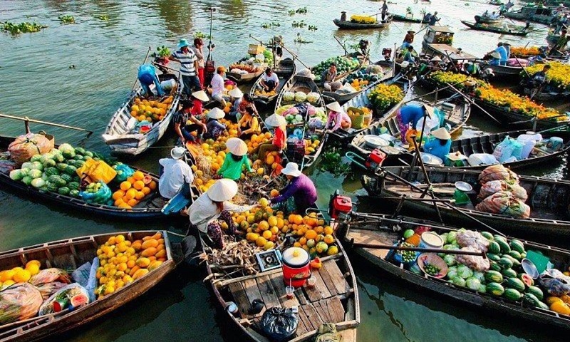 14 Days of Vietnam: A Comprehensive North to South Experience