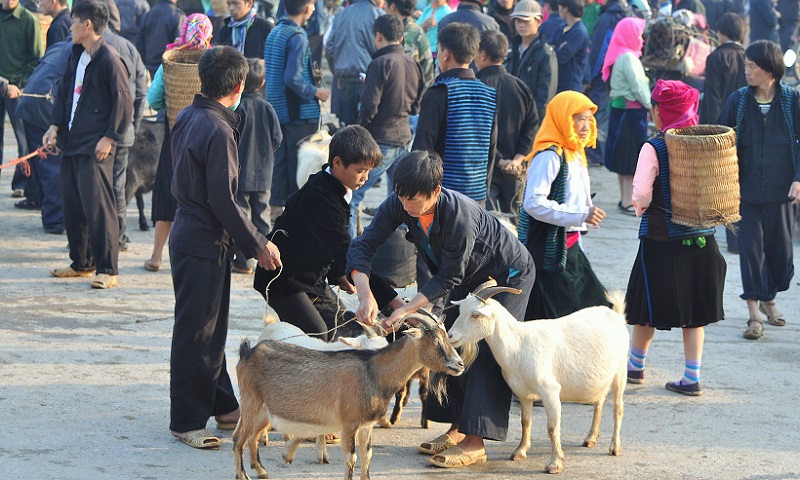 meo-vac-sunday-market-1.jpg