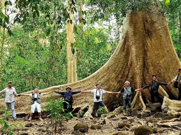 Vietnam Family Highlights Adventure 7 Days