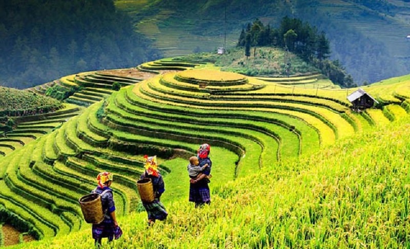 Wilderness and Culture of Northwest Vietnam 7 Days
