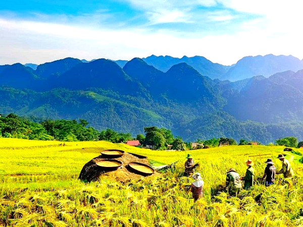 A Cultural and Scenic Journey Pu Luong: 3 Days 2 Nights
