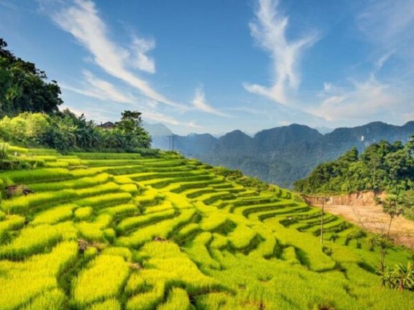 Half-Day Adventure: Sightseeing & Trekking Experience