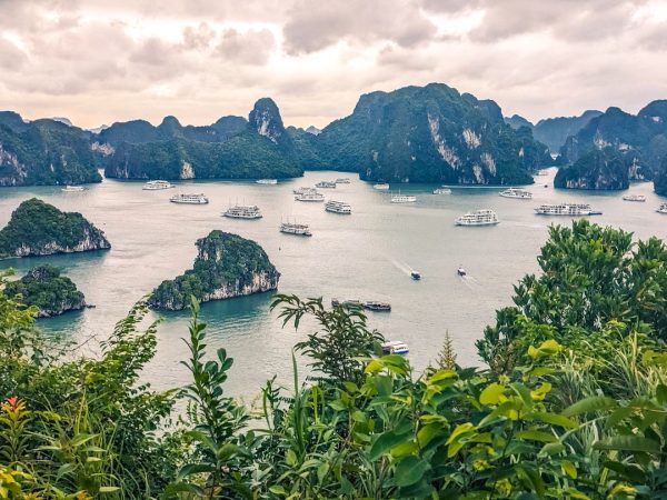 HA LONG BAY CRUISE: 2 DAYS 1 NIGHT