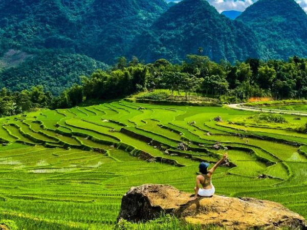 Best Time to Visit Pu Luong Nature Reserve