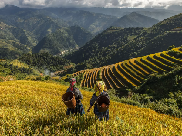Sapa Travel Guide – Best Things to Do & Travel Tips