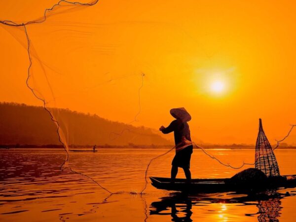 Mekong Delta Tour – Best Things to Do in Southern Vietnam